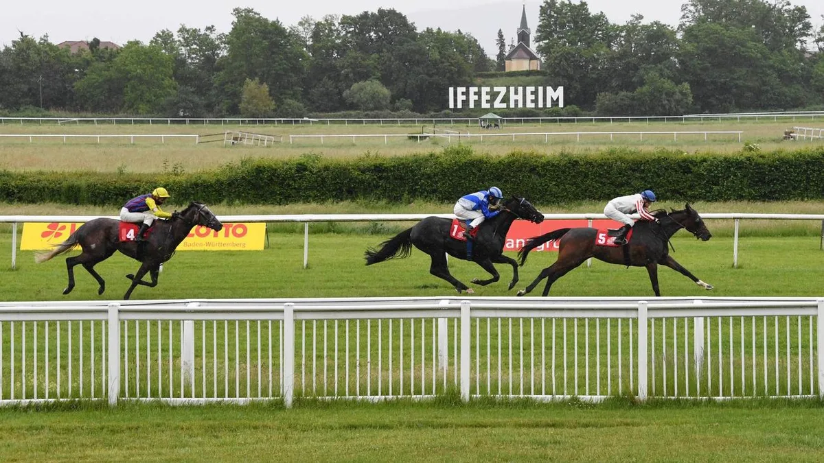Pferderennen: Wallach Stingray gewinnt zum Auftakt in Iffezheim