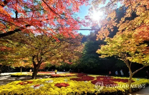 "울긋불긋 단풍 든 강천산 달려요" 24일 순창서 트레일 레이스