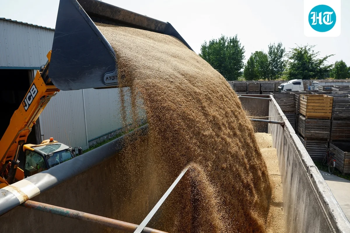 The renewed threat to global grain supplies