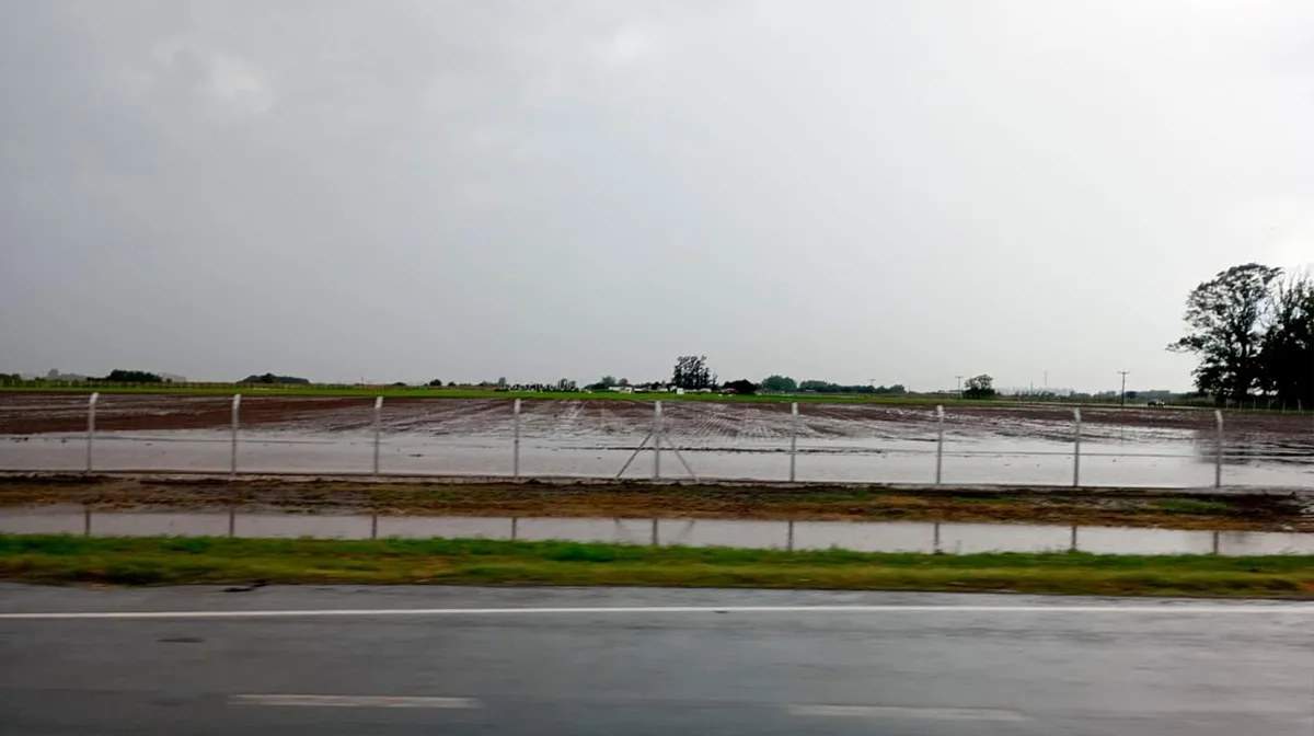 Frente al avance de El Niño, la producción se equipa con radares meteorológicos e intensifica cuidados en rodeos