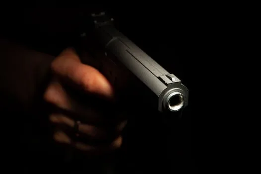 Cape Town gangs and firearms drive persistent murder problem