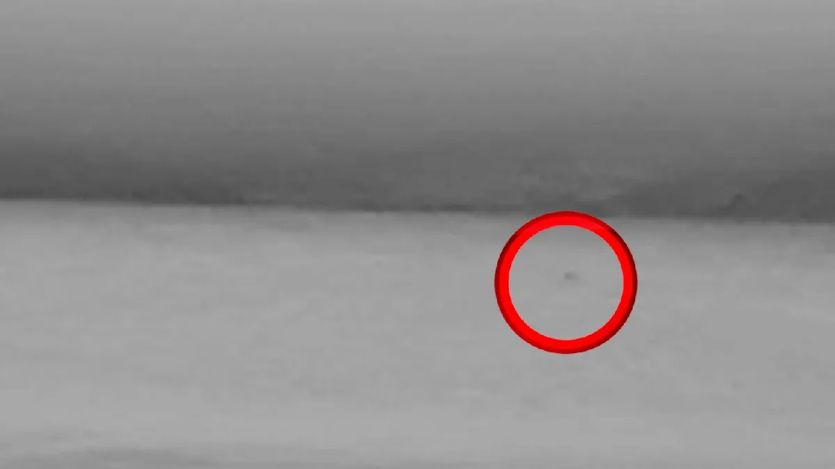 Sichtung in Schottland - Ist das der Beweis für Nessie?