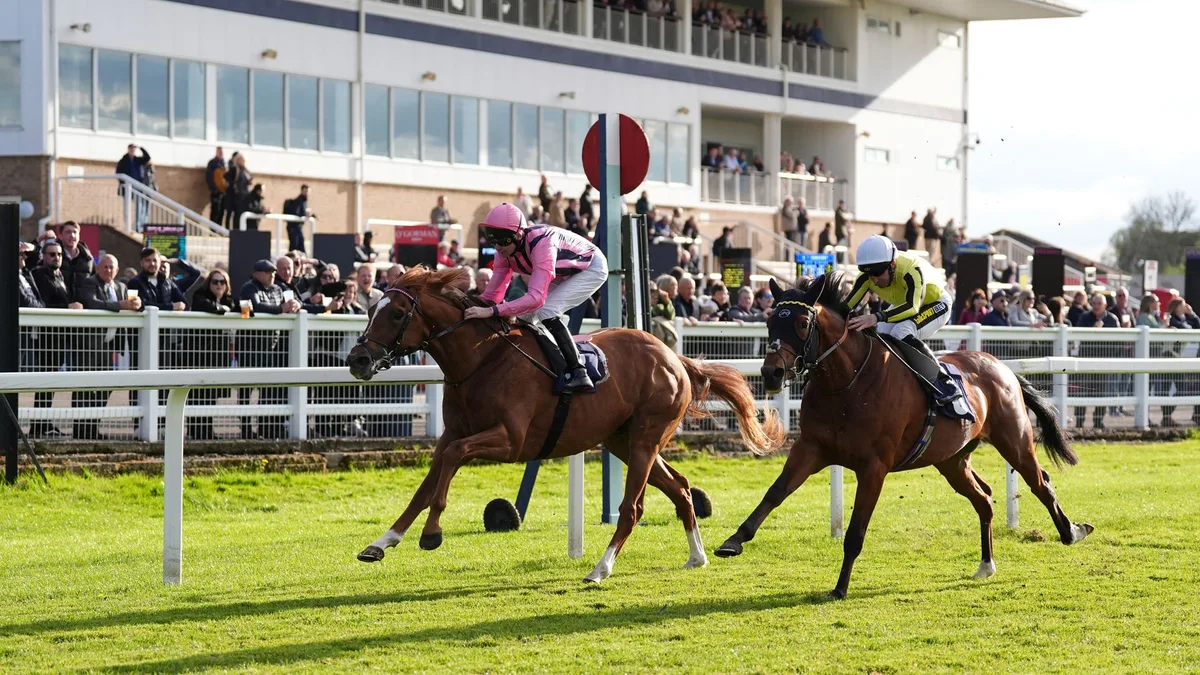 Ghostwriter, Tenability and Silawi clash at Windsor