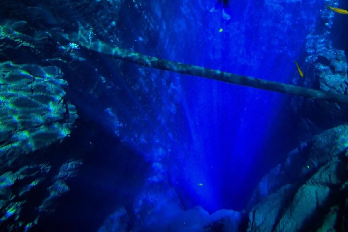 Lagoa Misteriosa: o que explica a água azul e cristalina que impressiona quem mergulha?