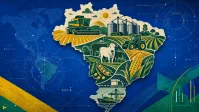 Área plantada de soja pode parar de crescer após 20 safras de alta