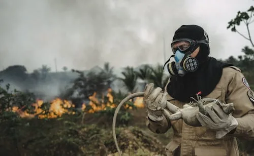 Brasil investiga aumento de incendios "criminales" en la Amazonía; no descartan conexión con las elecciones presidenciales