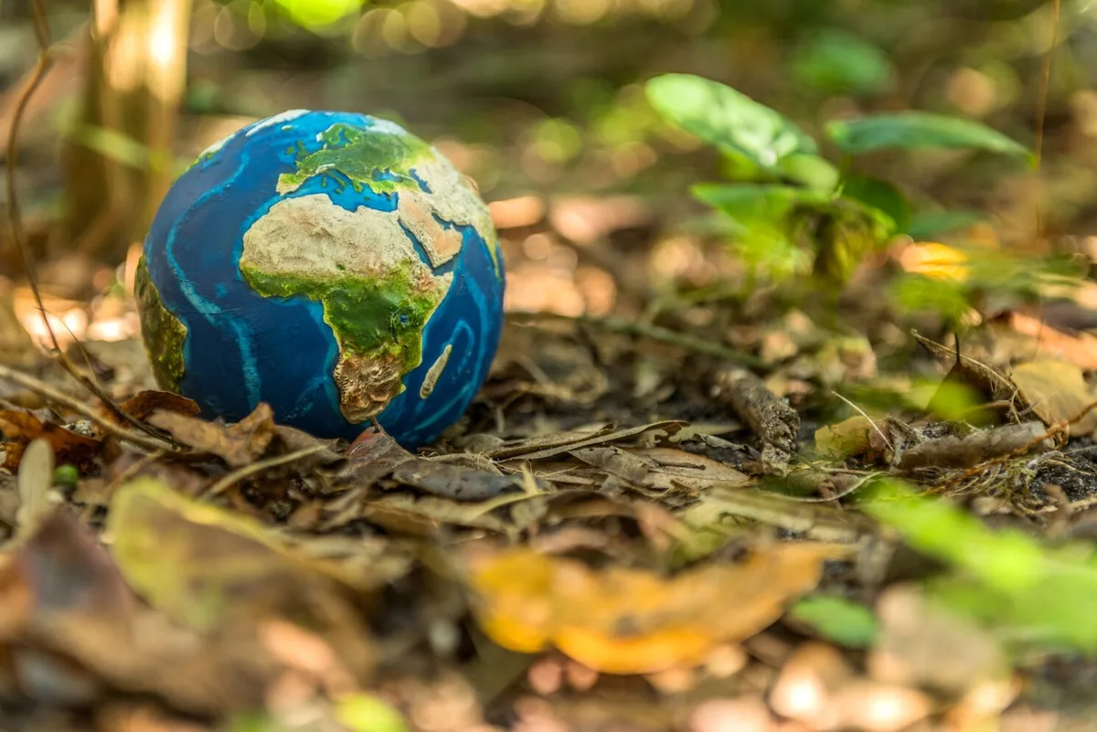 El sorprendente estudio científico que señala que la vida en la Tierra podría haber surgido dos veces