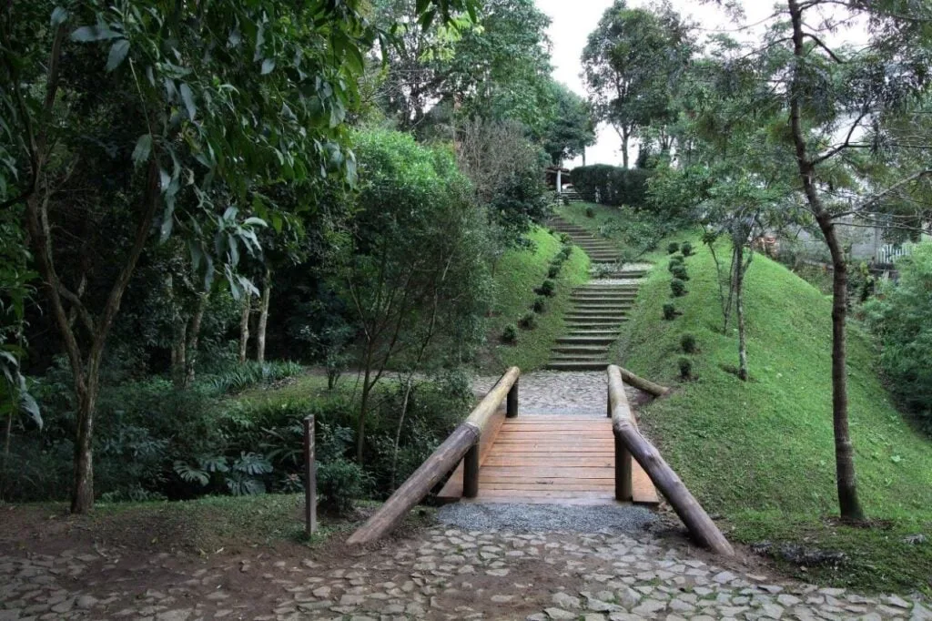 10 passeios gratuitos para aproveitar o domingo em Curitiba