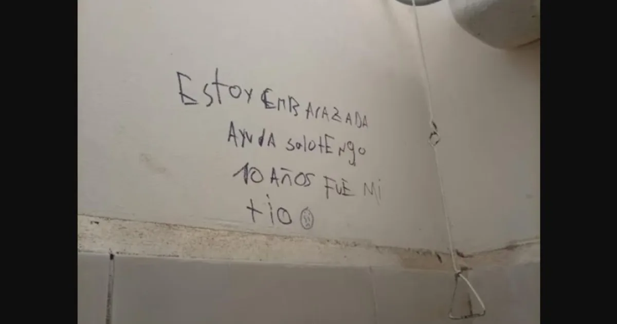 "Estoy embarazada, fue mi tío", la pintada en el baño de un colegio de San Juan que activó las alarmas por un posible abuso a una nena de 10 años