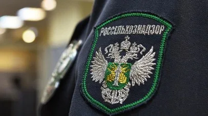 В Россельхознадзоре заявили, что ожидают от Армении отчёт о санитарных проверках