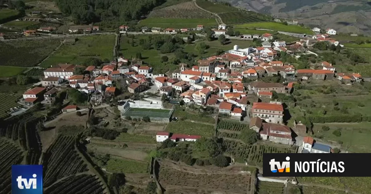 Nas encostas do Douro, a vindima continua a ser feita à moda antiga
