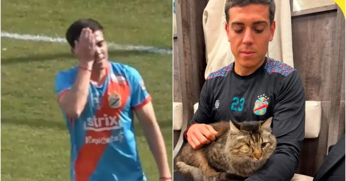 "Para vos, Tatú": la tierna historia del futbolista argentino que le dedicó un gol a un gato fallecido