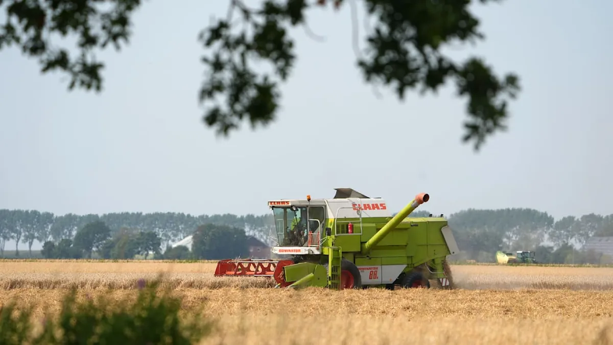 Nach dem Hitze-Sommer - Bauern fordern Sofortprogramm wegen mieser Ernte