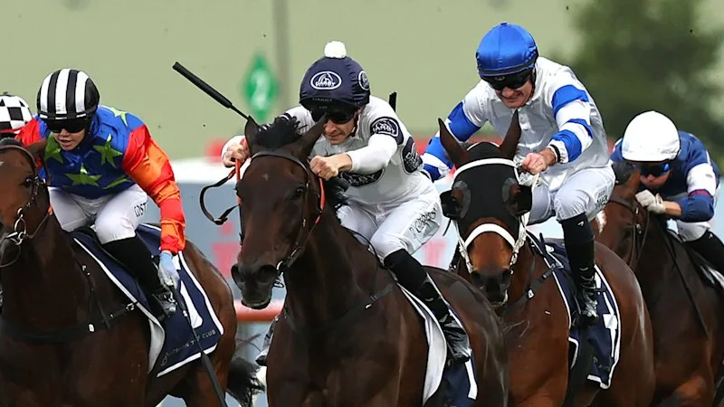 They’re racing at Randwick on Saturday. These are the horses that will win