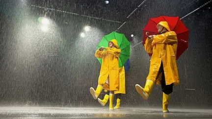 Accident au Lido à Paris : une partie du décor s'effondre sur la scène en pleine représentation de "Singin’in The Rain"