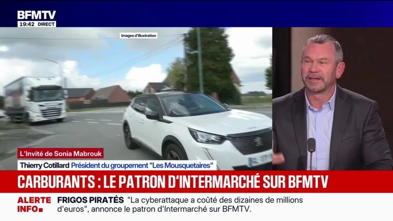 "C'est un moyen de déstabilisation politique": Thierry Cotillard, président du groupement Les Mousquetaires, évoque "3 à 4 cyberattaques par jour"
