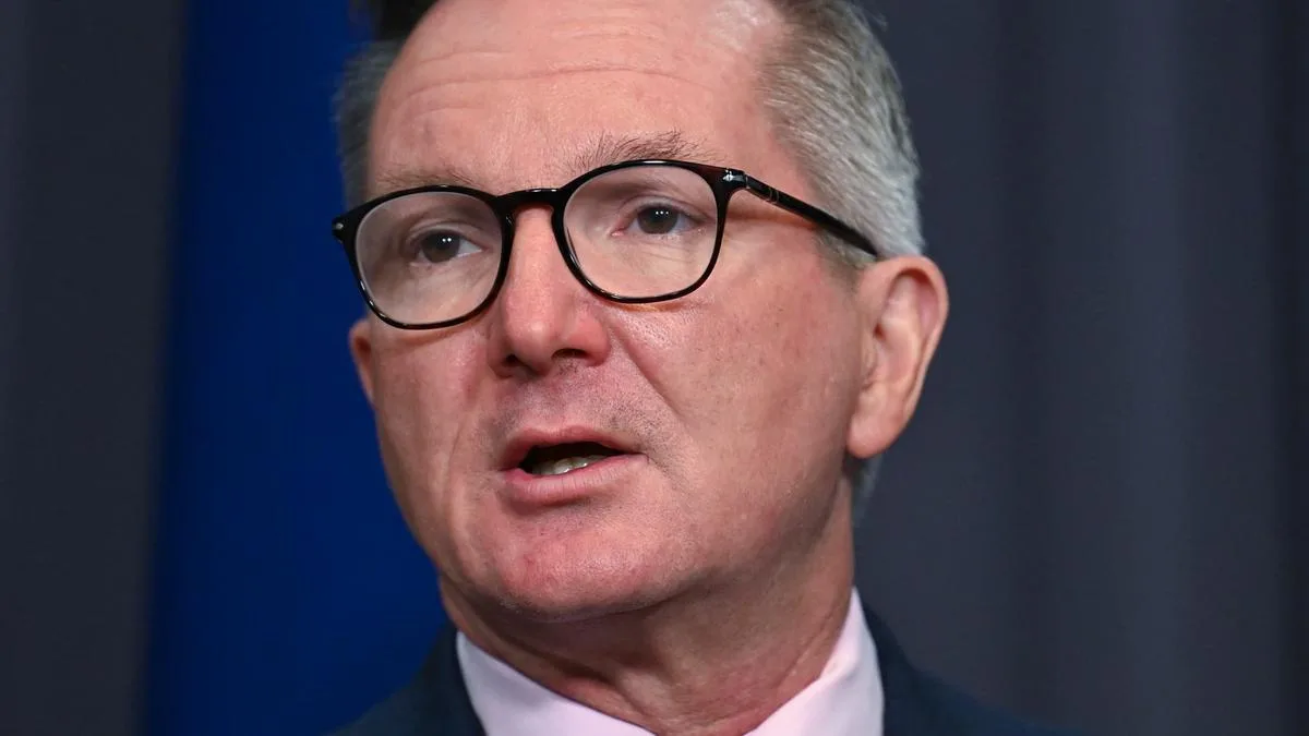 Palau President Surangel Whipps slams criticism of Chris Bowen’s pre-COP