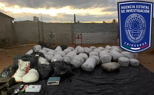Aseguran casi una tonelada de marihuana en Chihuahua; dos baleados mueren en el hospital