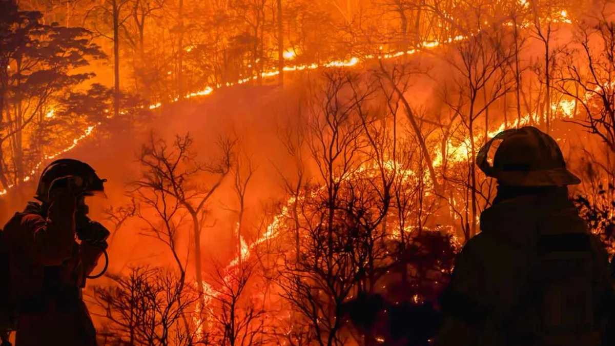 Portugal: esta é uma das formas mais simples de acompanhar os incêndios