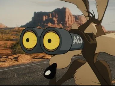 'Coyote vs. Acme' opens with $15.5M, 'Spider-Man' No. 1 for fifth weekend