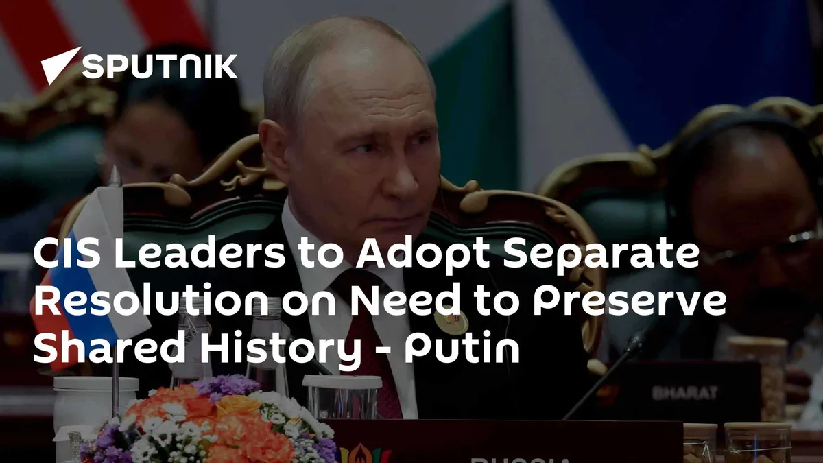 CIS Leaders to Adopt Separate Resolution on Need to Preserve Shared History - Putin