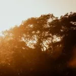 Finanças sustentáveis e internacionalização bancária