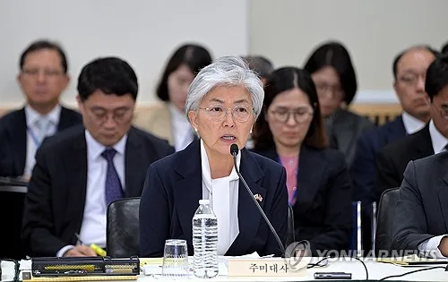 주미대사관 "강경화 'DMZ 지뢰 발언', 정전협정 위반 강조 취지"