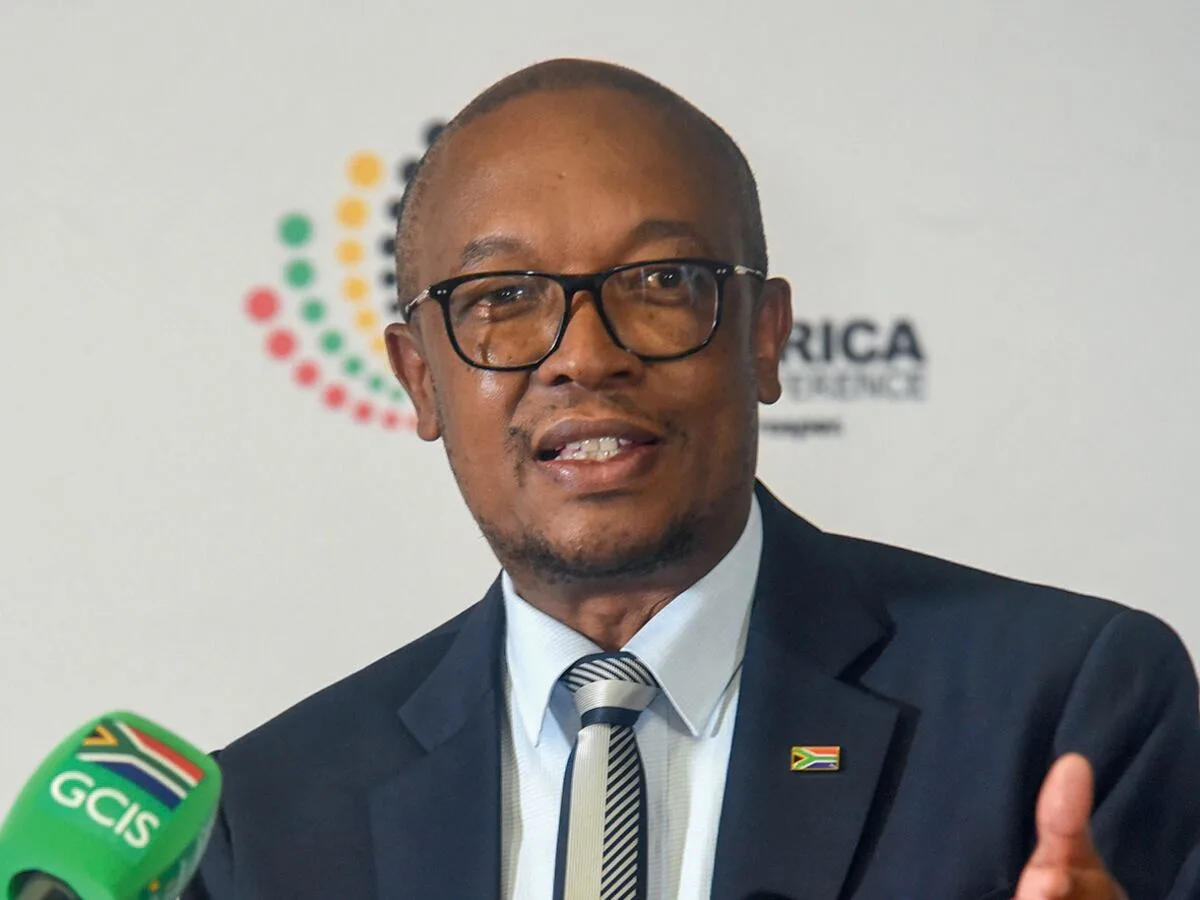 Mondi and Sappi set for relief as Tau orders tariff review