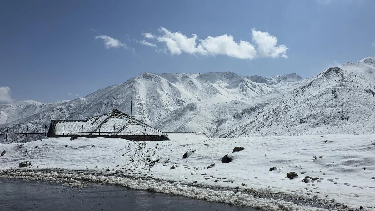 Fresh snowfall turns J&K mountains into a winter wonderland