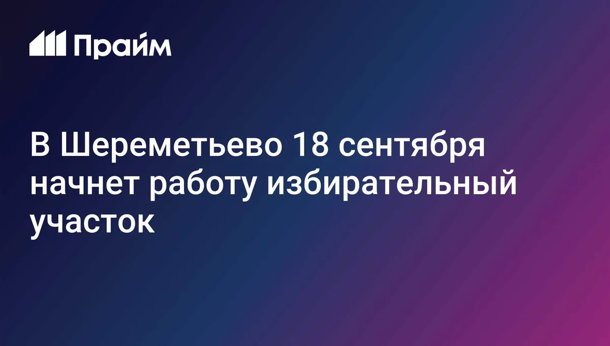 Россияне на выборах в Госдуму смогут проголосовать в аэропорту Шереметьево