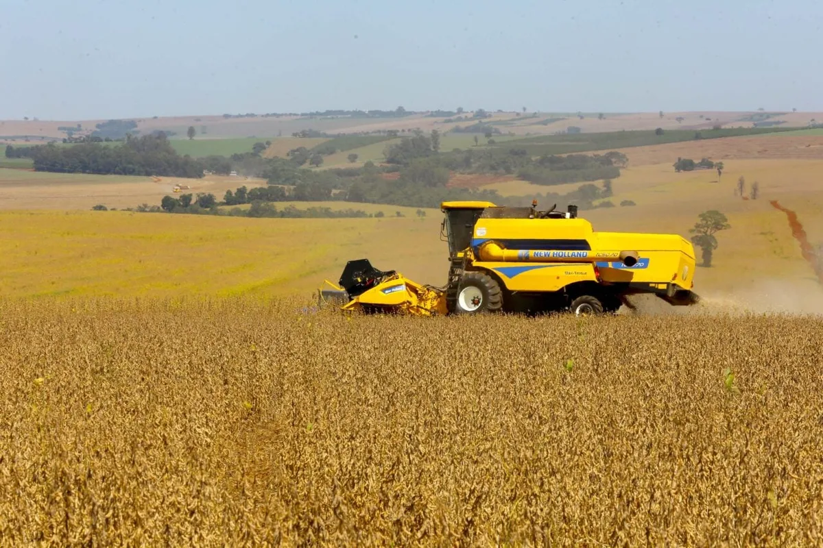 Paraná registra Valor Bruto da Produção Agropecuária de mais de R$ 213 bilhões