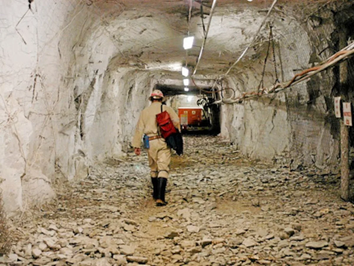 Harmony: 46 mine deaths in five years spark safety questions