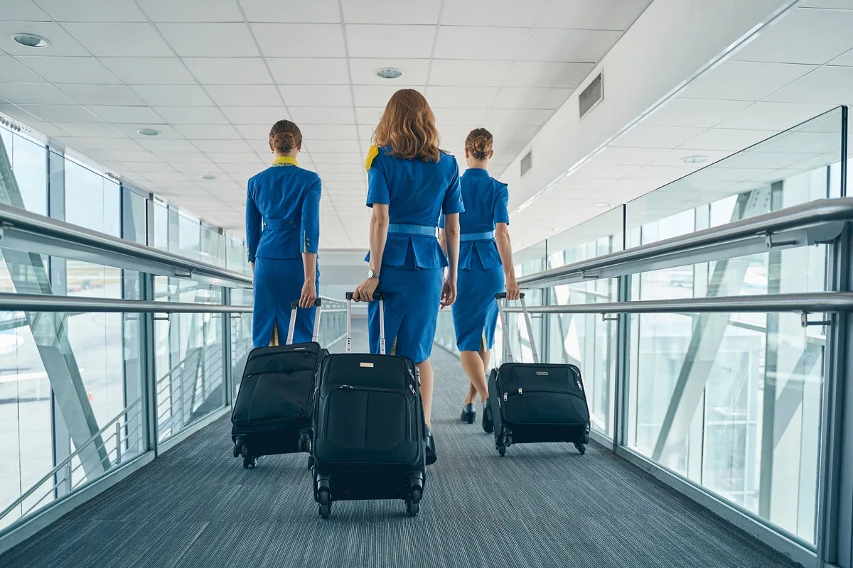 Flight attendants and pilots have the highest risk of dying from certain cancers, study finds