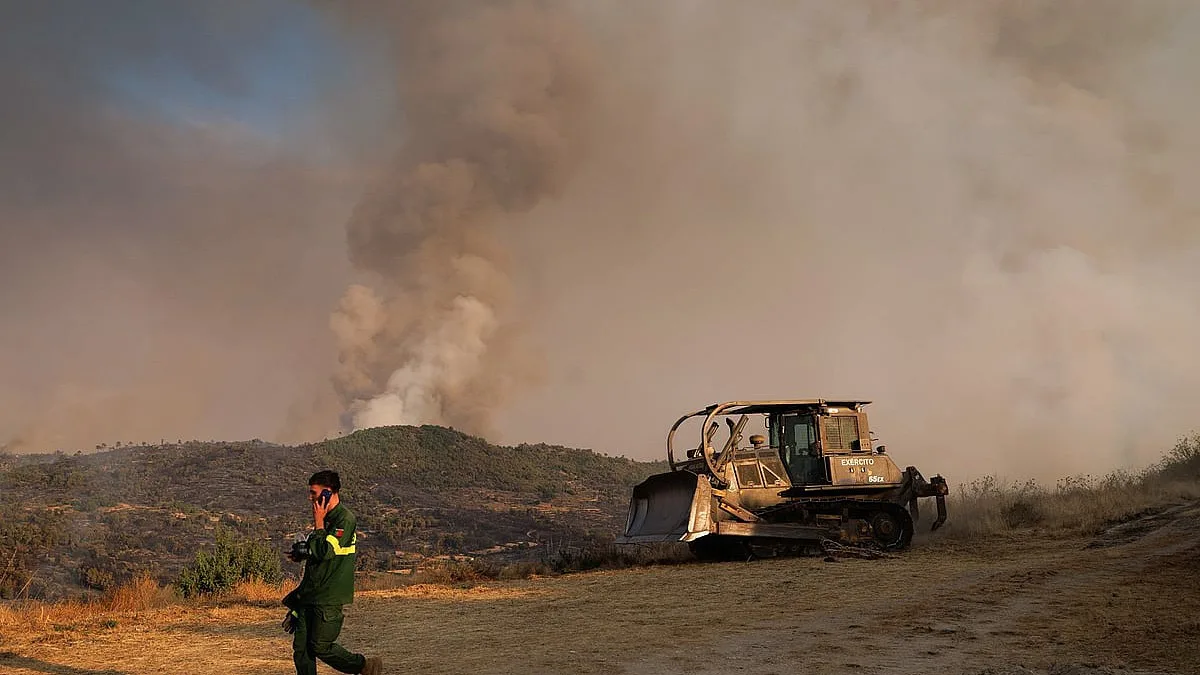 Maioria das pessoas que provoca incêndios não é pirómana nem tem outra doença psiquiátrica