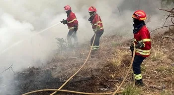 Dois fogos em Proença-a-Nova mobilizam mais de 800 bombeiros