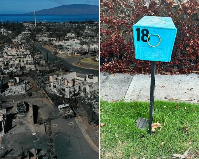 Kafka in paradise: Hawaii fire survivors in bureaucratic trap as US ends mail delivery