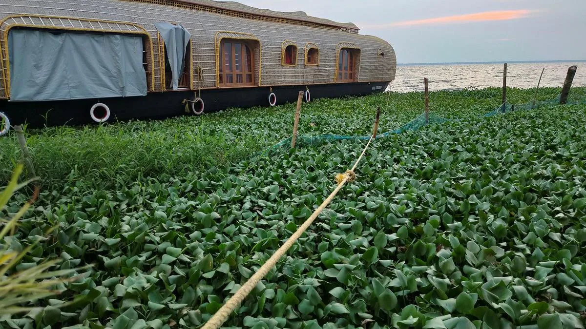 As water hyacinth chokes Vembanad, Kumarakom turns to robots