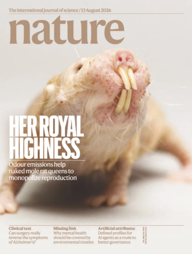 Comment la reine rat-taupe nu maintient son règne