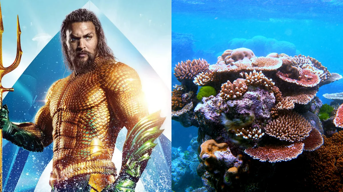 Jason Momoa warns coral reefs near extinction amid world's worst bleaching event