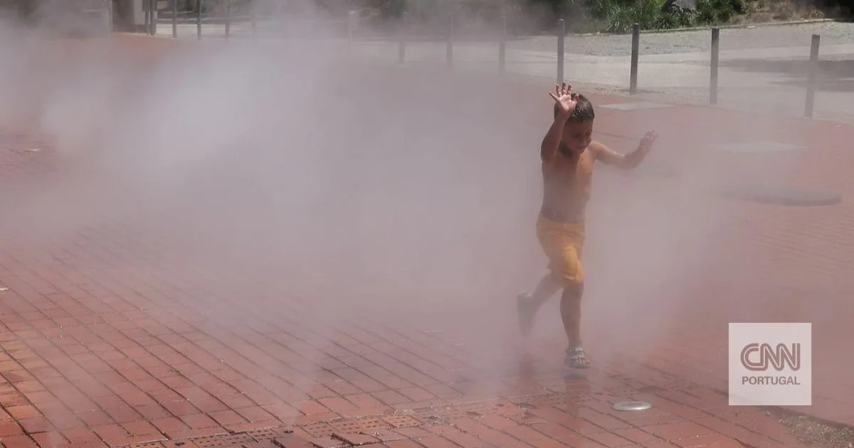 Temperaturas sobem e há perigo máximo de incêndio