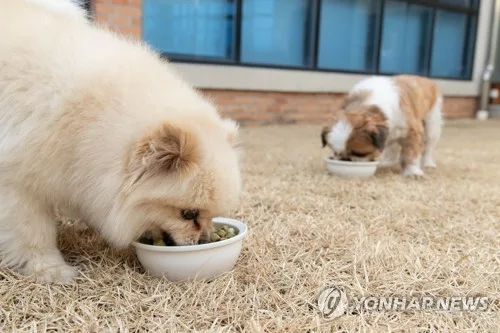 전북 동물병원 진료비 비싸다…고양이 입원비는 병원별로 최대 10배
