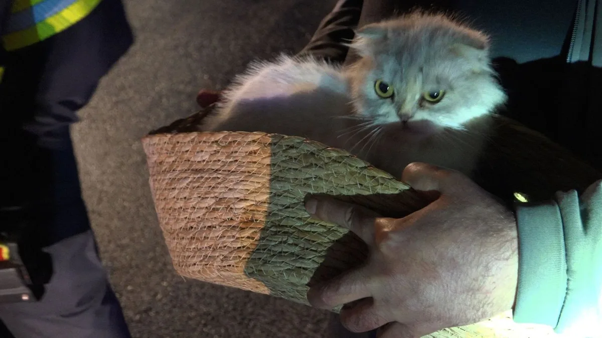 Eppelborn: Feuerwehr rettet Katze aus brennendem Doppelhaus