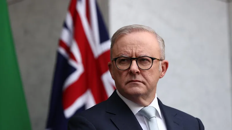 Australia news LIVE: Labor marked down on migration; Hanson ramps up fight against gun buyback scheme