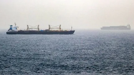 "Un instrument stratégique de pression supplémentaire" : pourquoi les rebelles houthis servent les intérêts de l'Iran en s'emparant du détroit de Bab el-Mandeb