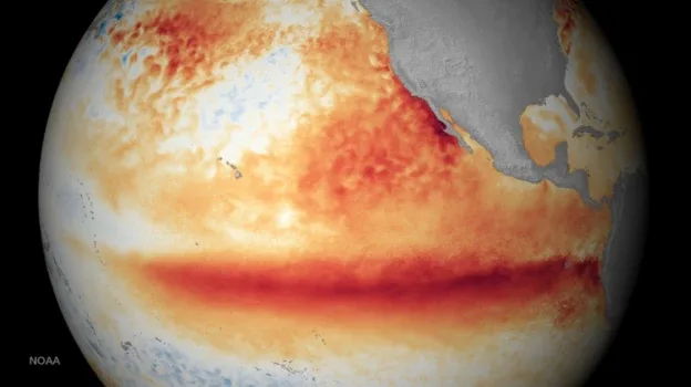 Qué significa que océanos del planeta hayan alcanzado la temperatura media más alta jamás registrada