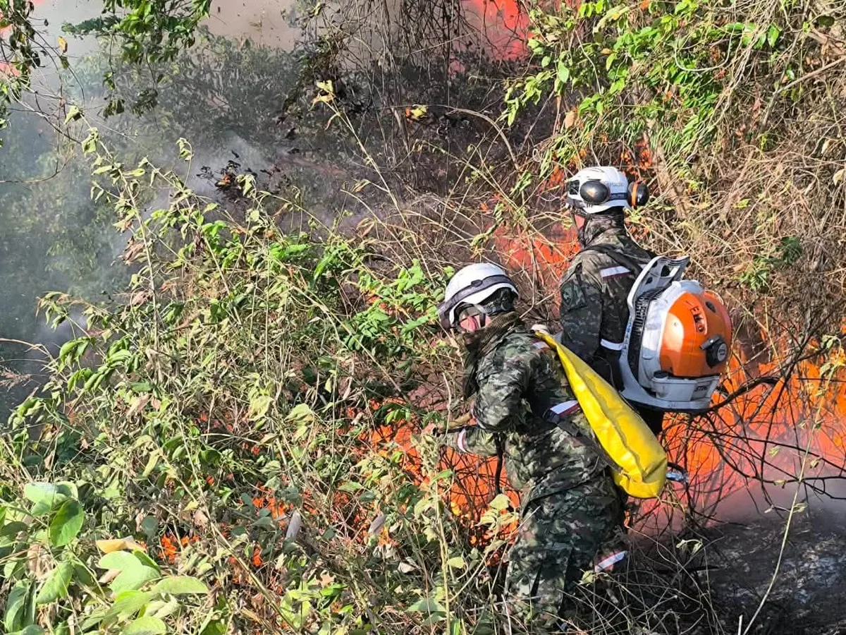 Durante los incendios forestales en Tolima, este es el rescatista que se dedica a salvar animales: “Para tener algo más bonito en el mundo”