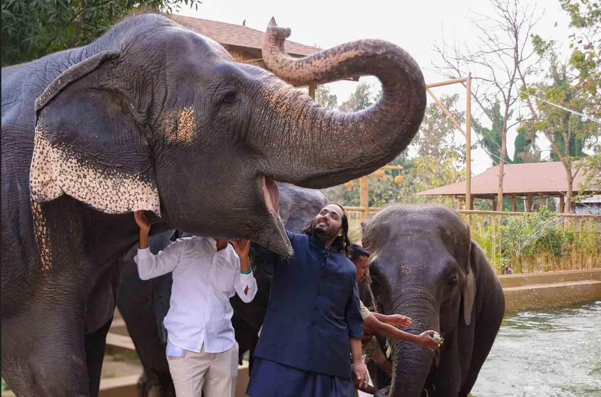 Mukesh Ambani's succession plan runs into a wildlife problem at Vantara