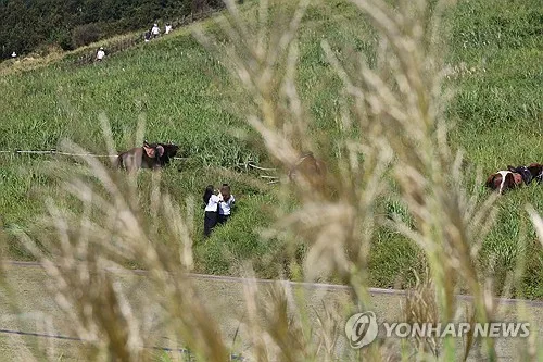 제주 대체로 맑음…낮 최고 27∼29도