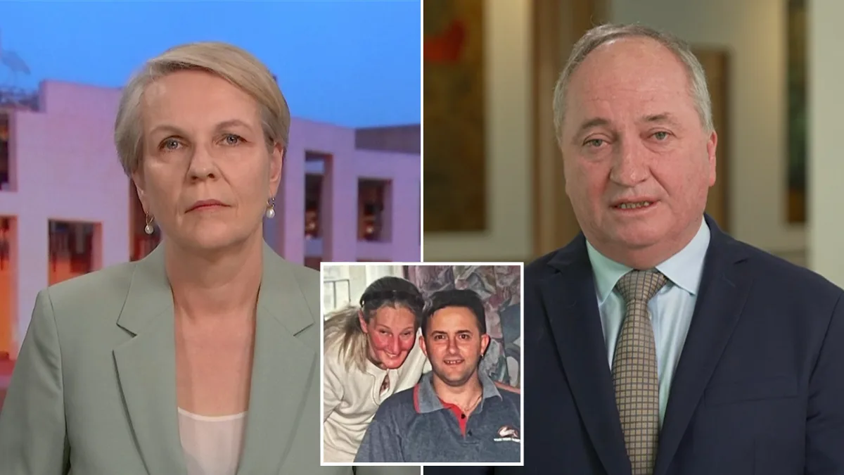 Insults fly as Barnaby Joyce defends Pauline Hanson for criticising PM’s mother over public housing record