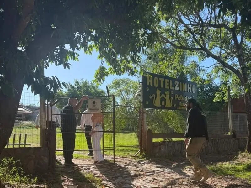 Após denúncia de agressão a cachorro, hotel para pets fecha as portas em Bonito
